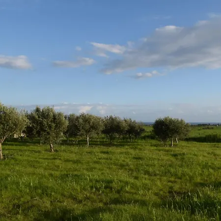 בית נופש Mersinera Paradise Garden 2 לרנקה