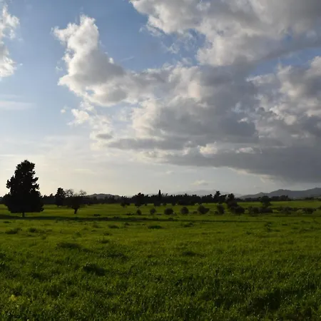 Mersinera Paradise Garden 2 * לרנקה