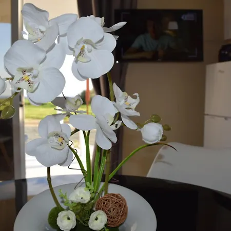 Mersinera Paradise Garden 2 * לרנקה