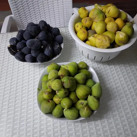 Mersinera Paradise Garden 2 *