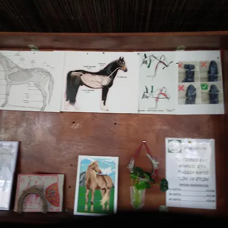 Дом отдыха Mersinera Paradise Garden 2 Ларнака