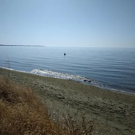 Mersinera Paradise Garden 2