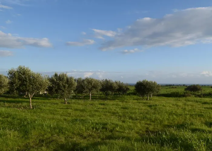 Casa vacanze Mersinera Paradise Garden 2