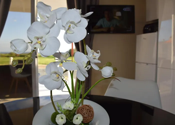 Mersinera Paradise Garden 2 * ラルナカ