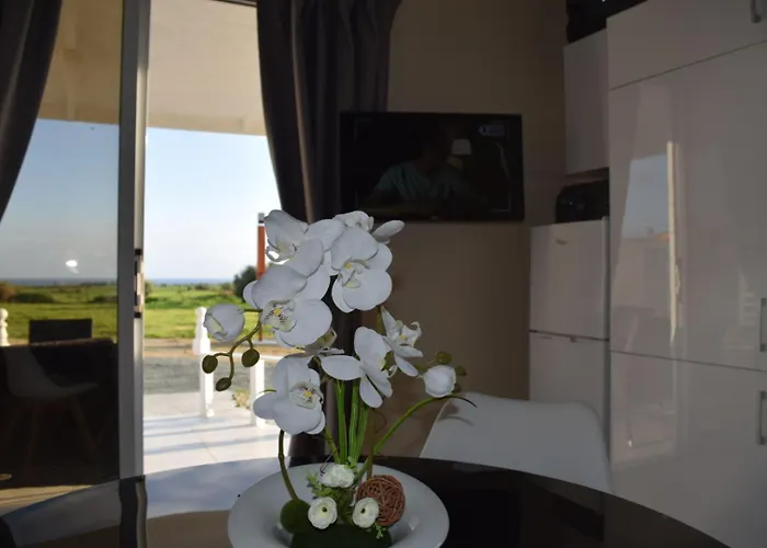 別荘 Mersinera Paradise Garden 2 ラルナカ