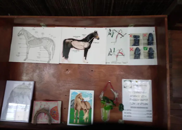 Casa vacanze Mersinera Paradise Garden 2 Larnaca