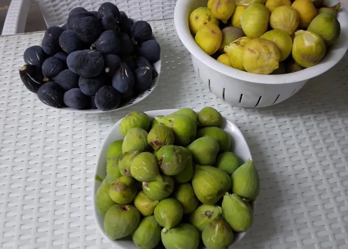 Mersinera Paradise Garden 2 *